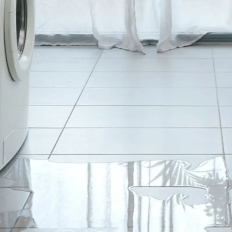 Appliance Leak Cleanup in West Longview, WA