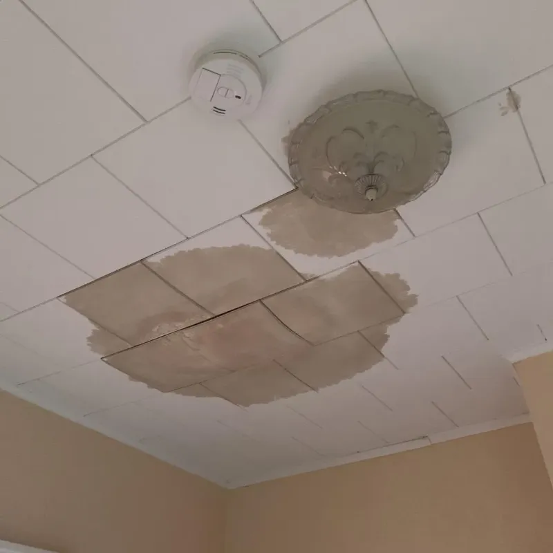 Ceiling Water Damage Repair in West Longview, WA