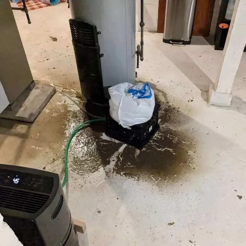 Sewage Backup Cleanup Service in West Longview, WA